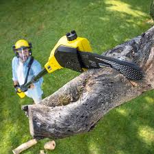 Best Lawn Grading and Leveling  in River Oaks, TX